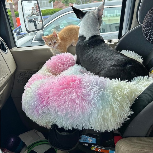 Fur Round Container calming bed Deluxe Super Plush Pet Bed - Picture 2 of 5